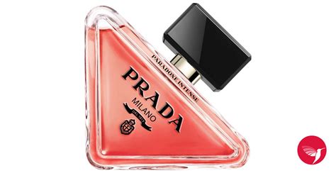 innocente prada|Prada Paradoxe Intense Prada for women .